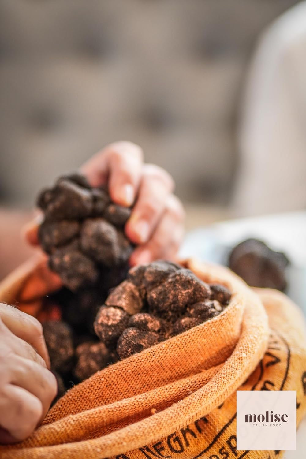 Fresh Italian Black Summer Truffles, Gourmet Solid and Aromatic Flavor Truffles,