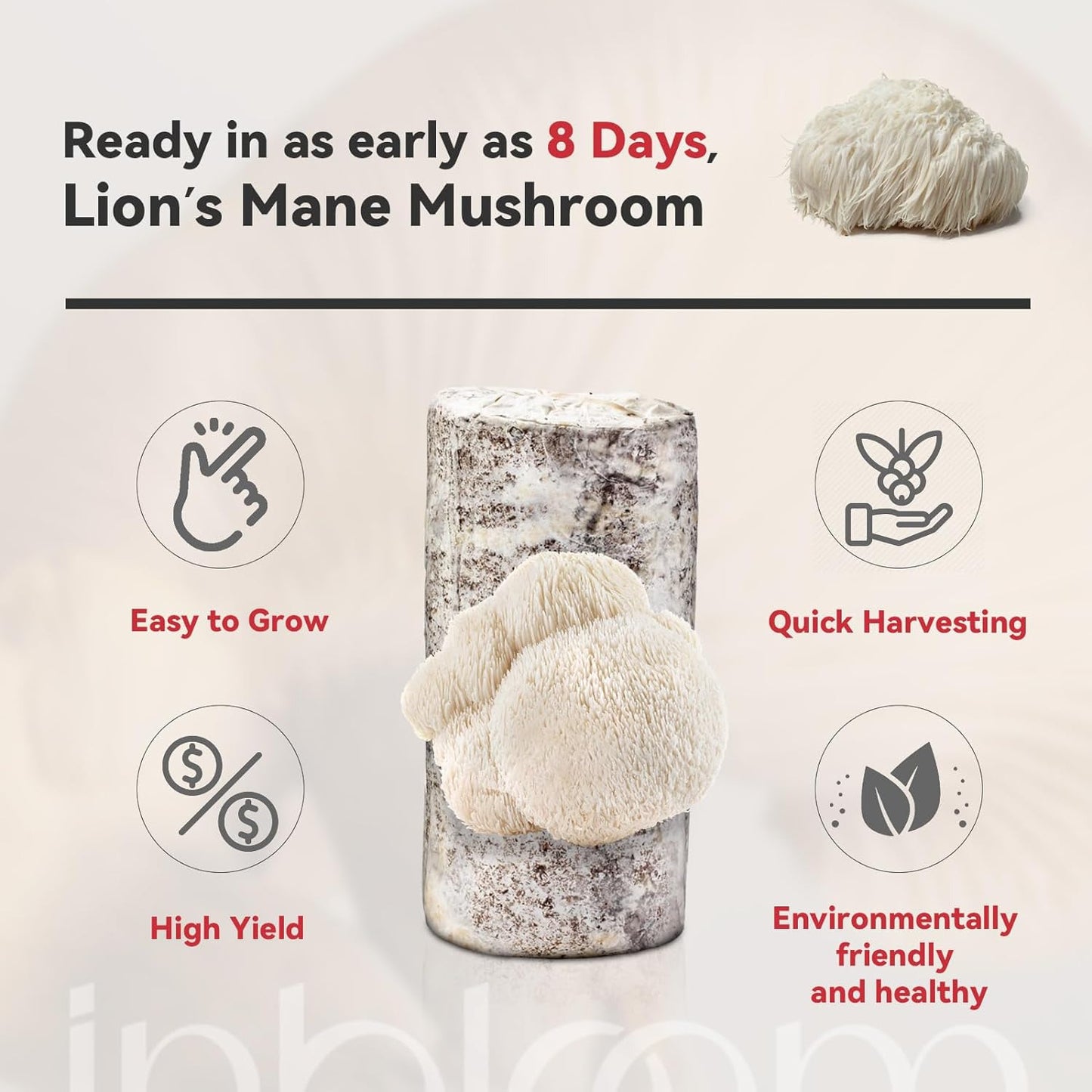 Large Organic Edible Lion'S Mane Mushroom Growing Kit (4Lbs), Double-Side Mushro