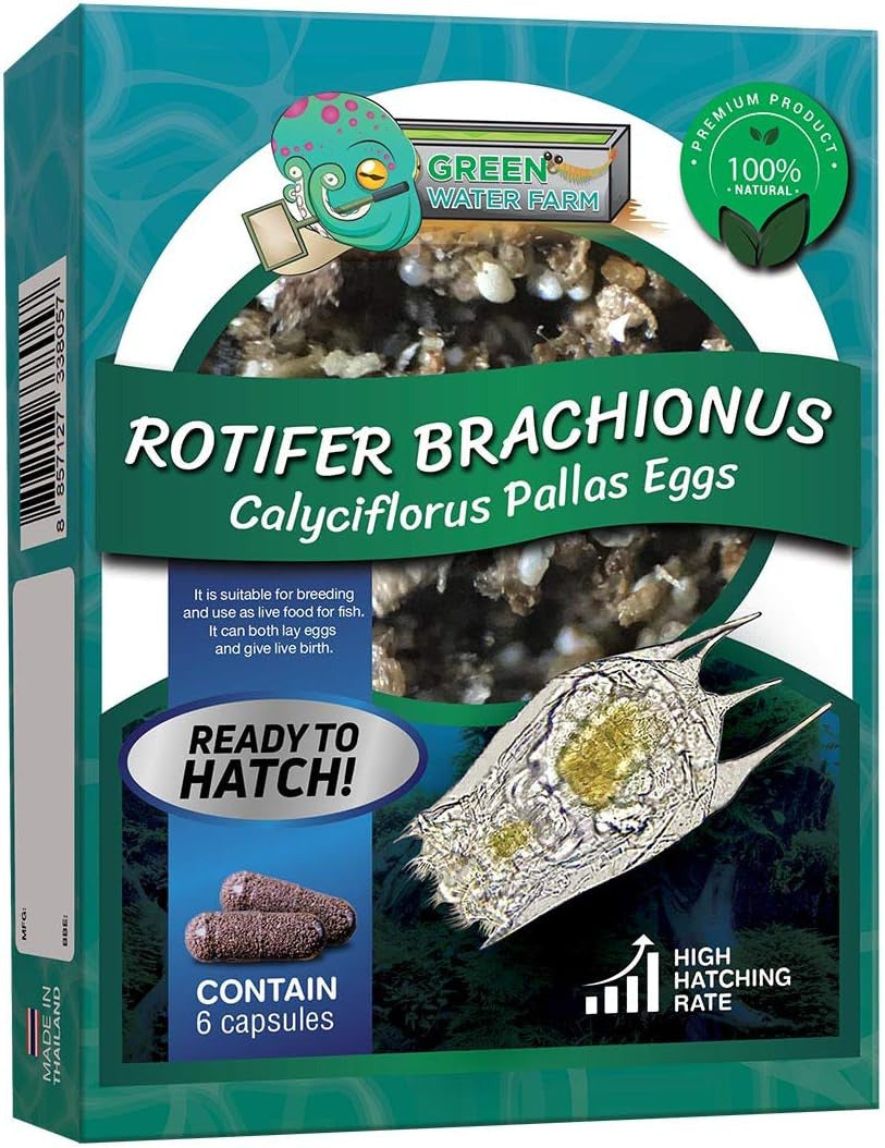 Greenwaterfarm Rotifers Brachionus Calyciflorus Pallas Eggs Live Fish Food for H