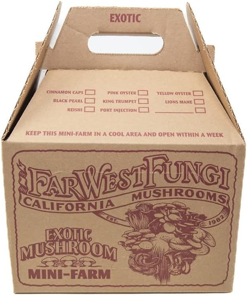 Lion'S Mane Mushroom Mini-Farm Grow Kit, 5Lbs, Non-Gmo, Easy to Use, Grow Your M