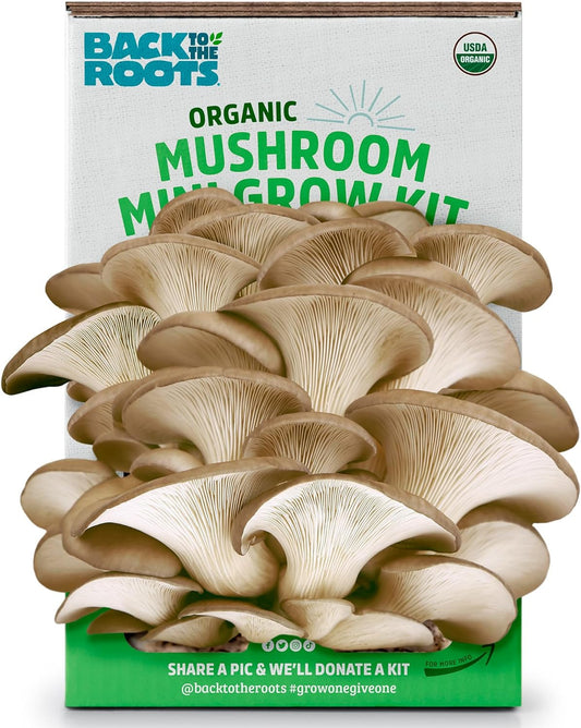 Organic Mini Mushroom Grow Kit, Harvest Gourmet Oyster Mushrooms in 10 Days, Top