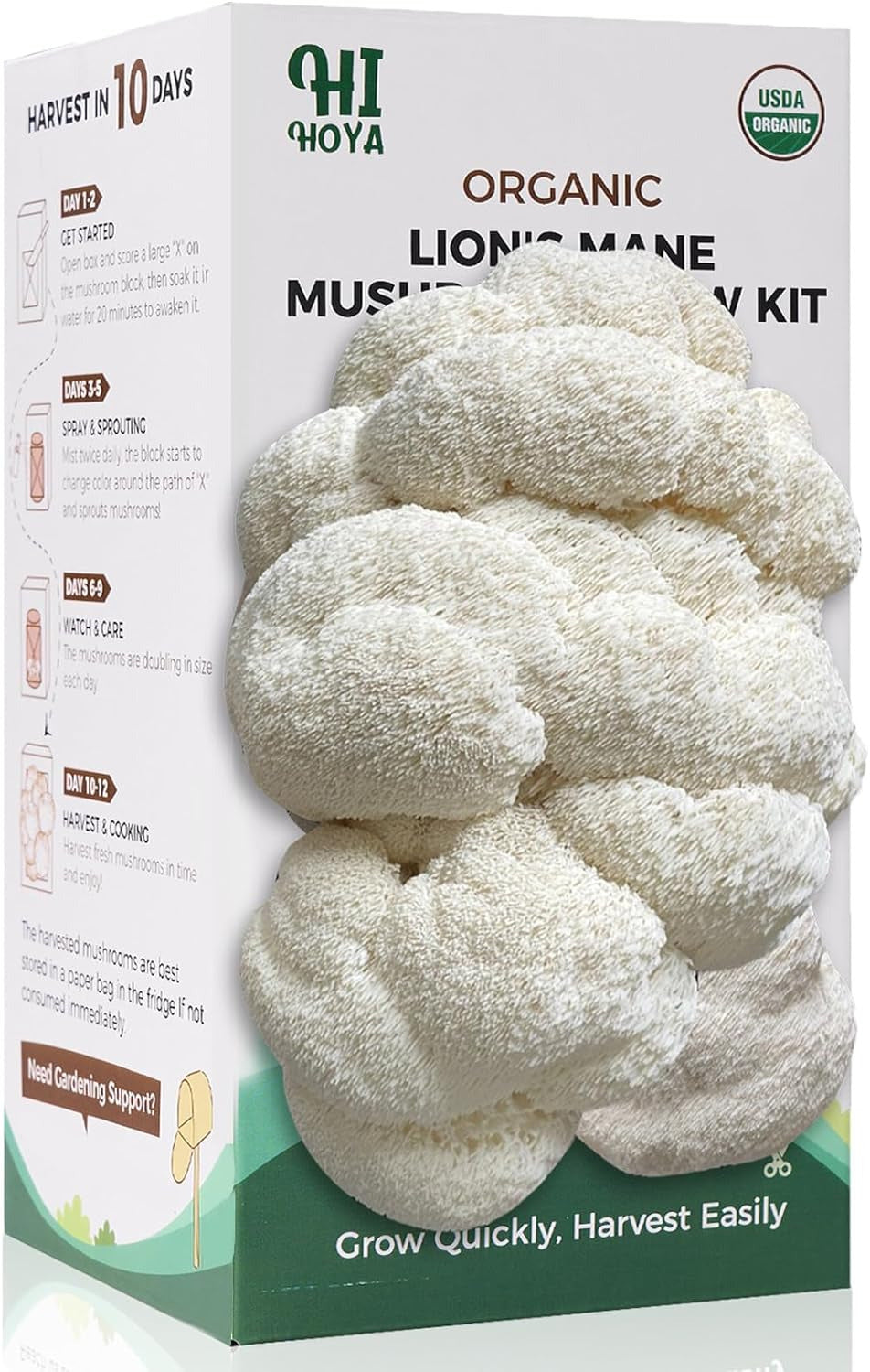 Large Mushroom Growing Kit, Organic Lions Mane Grow Kit, Fresh Gourmet Mushrooms