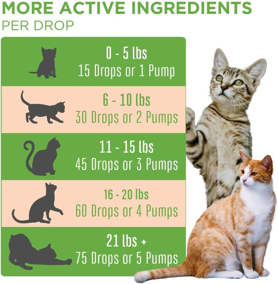 Cat Probiotic | USDA Organic Probiotic Cat | Probiotic for Cats | Cat Probiotic