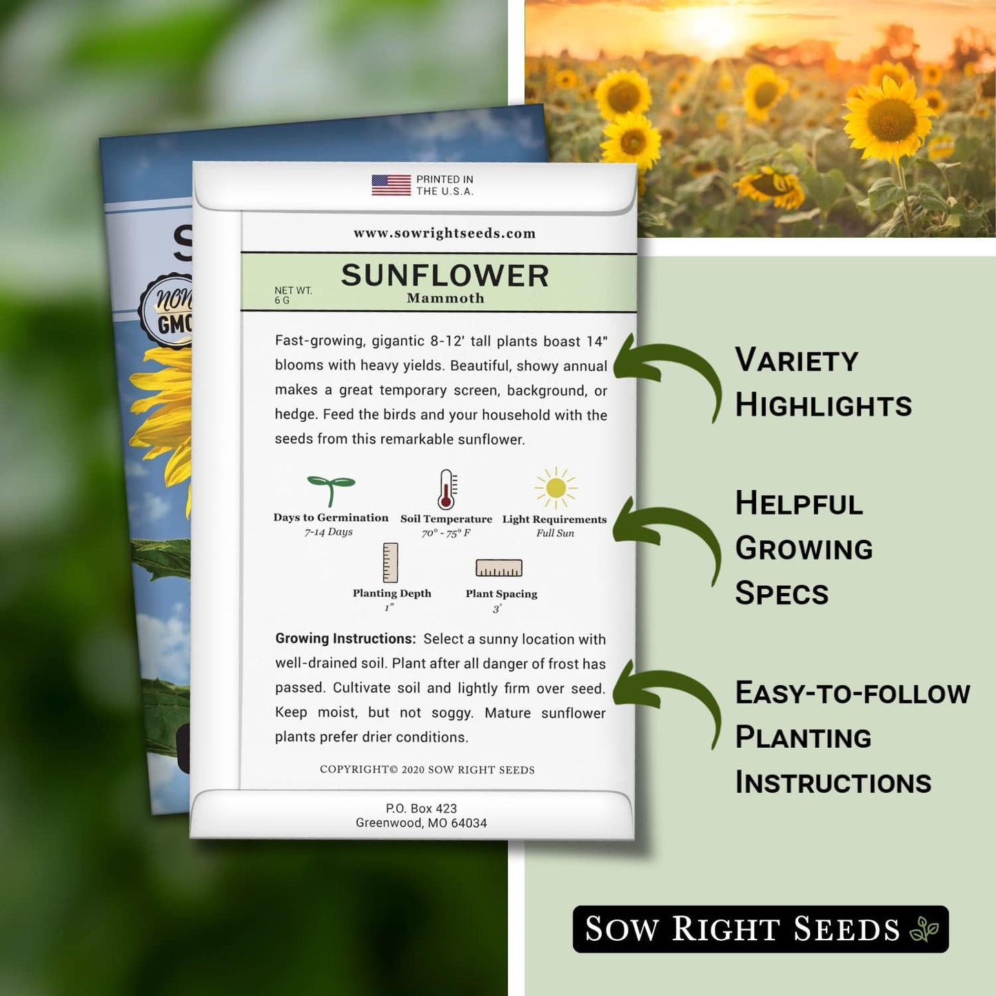 - Mammoth Sunflower Seeds to Plant - Grow Giant Sunflowers in Your Garden - Non-