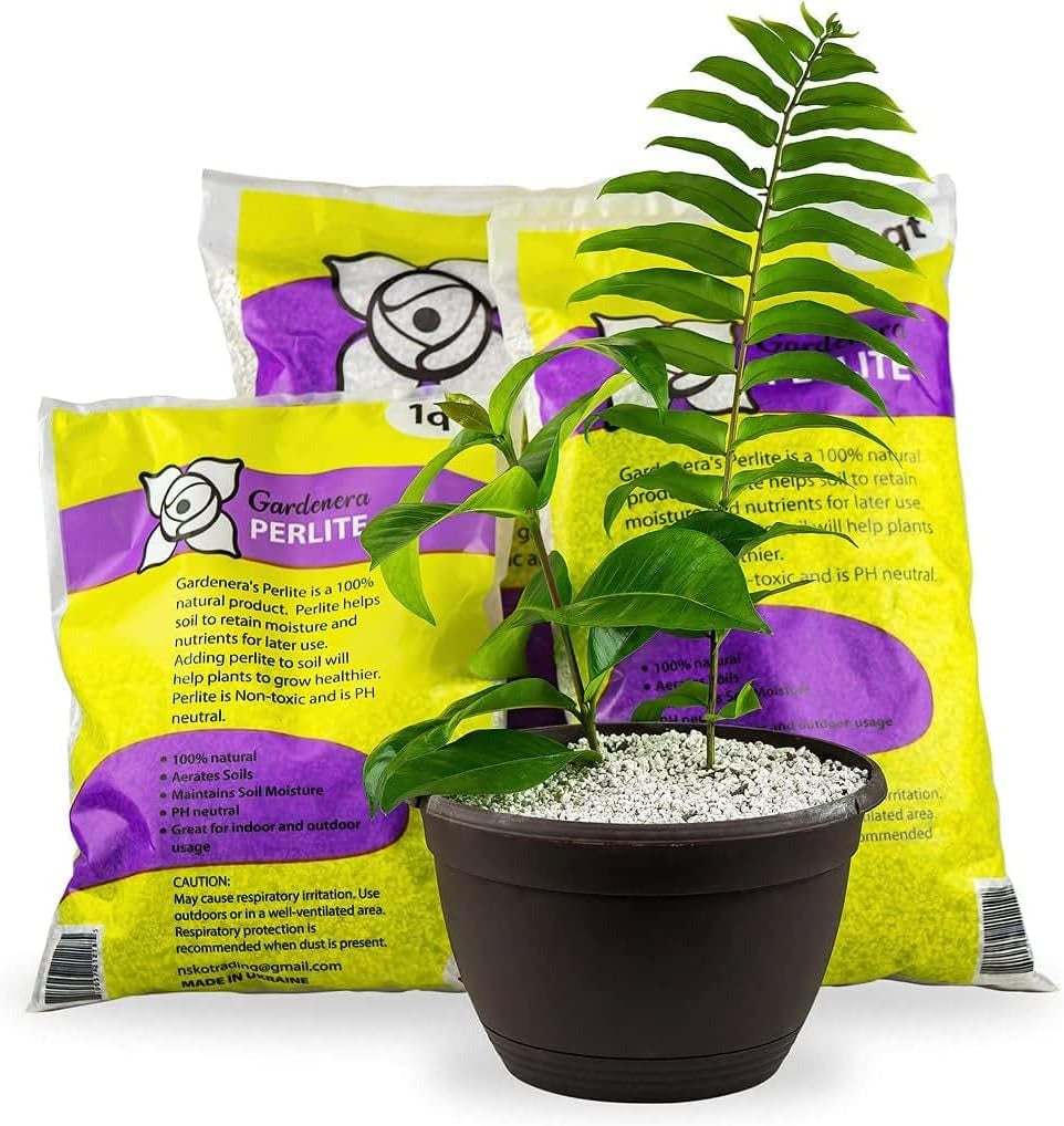 Organic Perlite — Medium/Fine Grade (5Qt) Horticultural Soil Amendment for Indoo