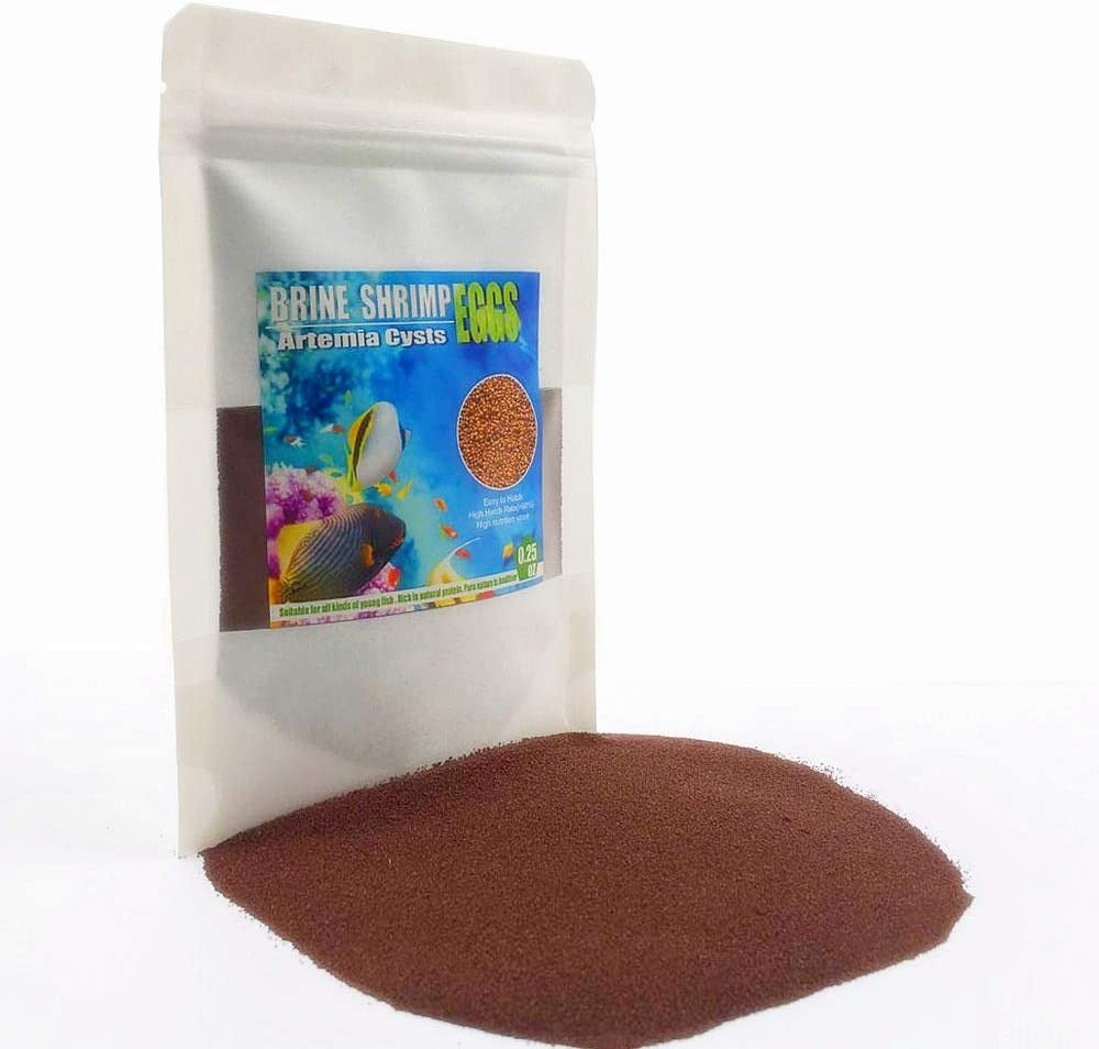 Brine Shrimp Eggs for Aquatic Foods Baby & Fry Foods the Popular 90% Hatch GSL B