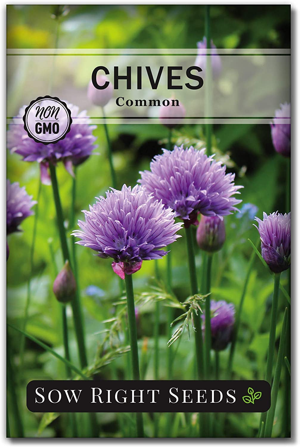 - Common Chives Seed for Planting - Non-Gmo Heirloom Packet with Instructions to