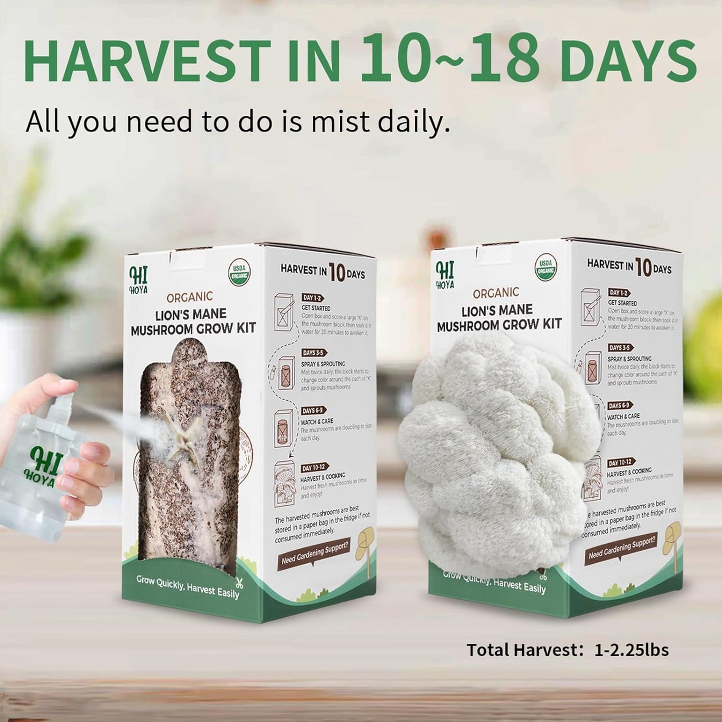 Lions Mane Grow Kit, Organic Mushroom Growing Kit Indoor, Beginner Friendly Harv