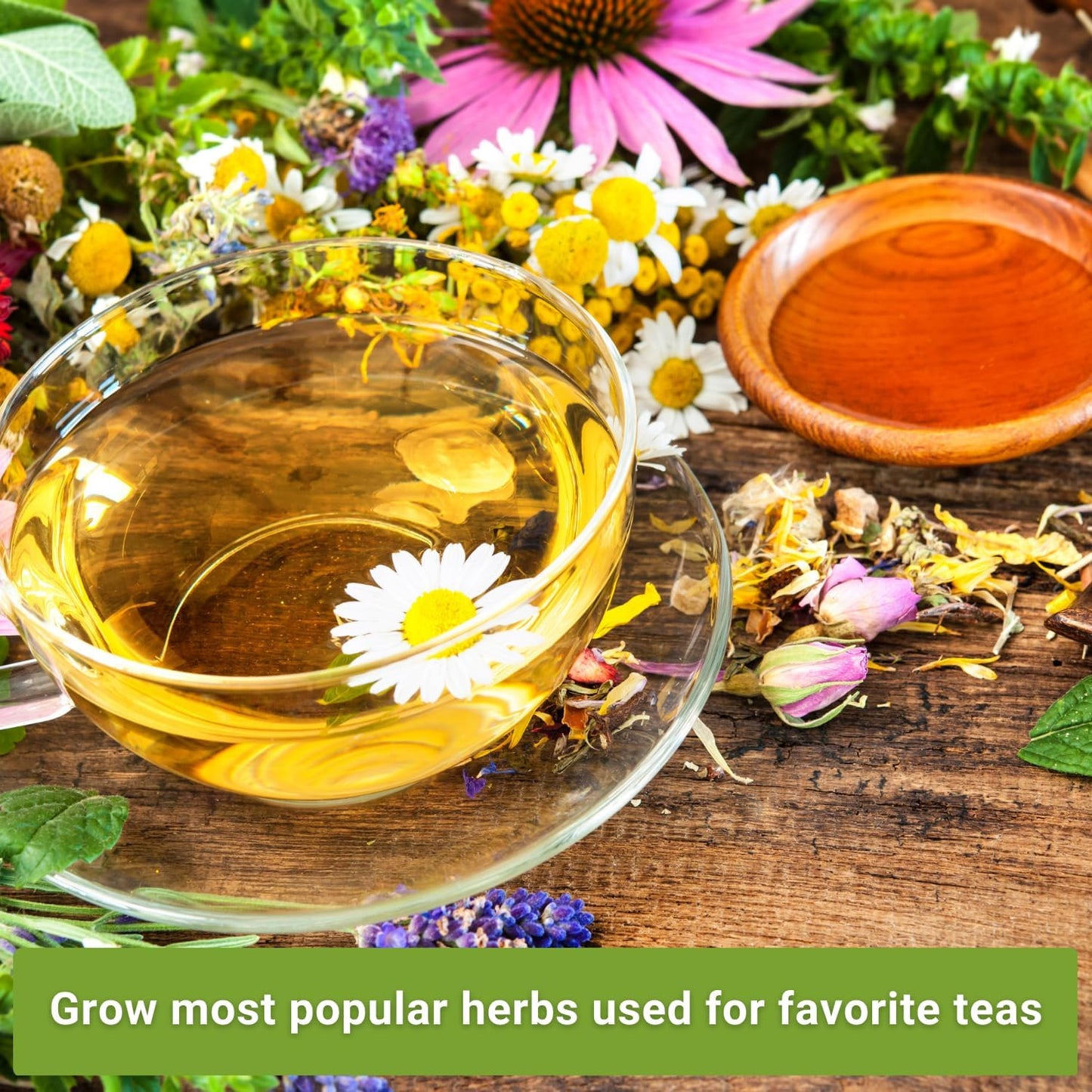 - Herbal Tea Collection - Lemon Balm, Chamomile, Mint, Lavender, Echinacea Herb