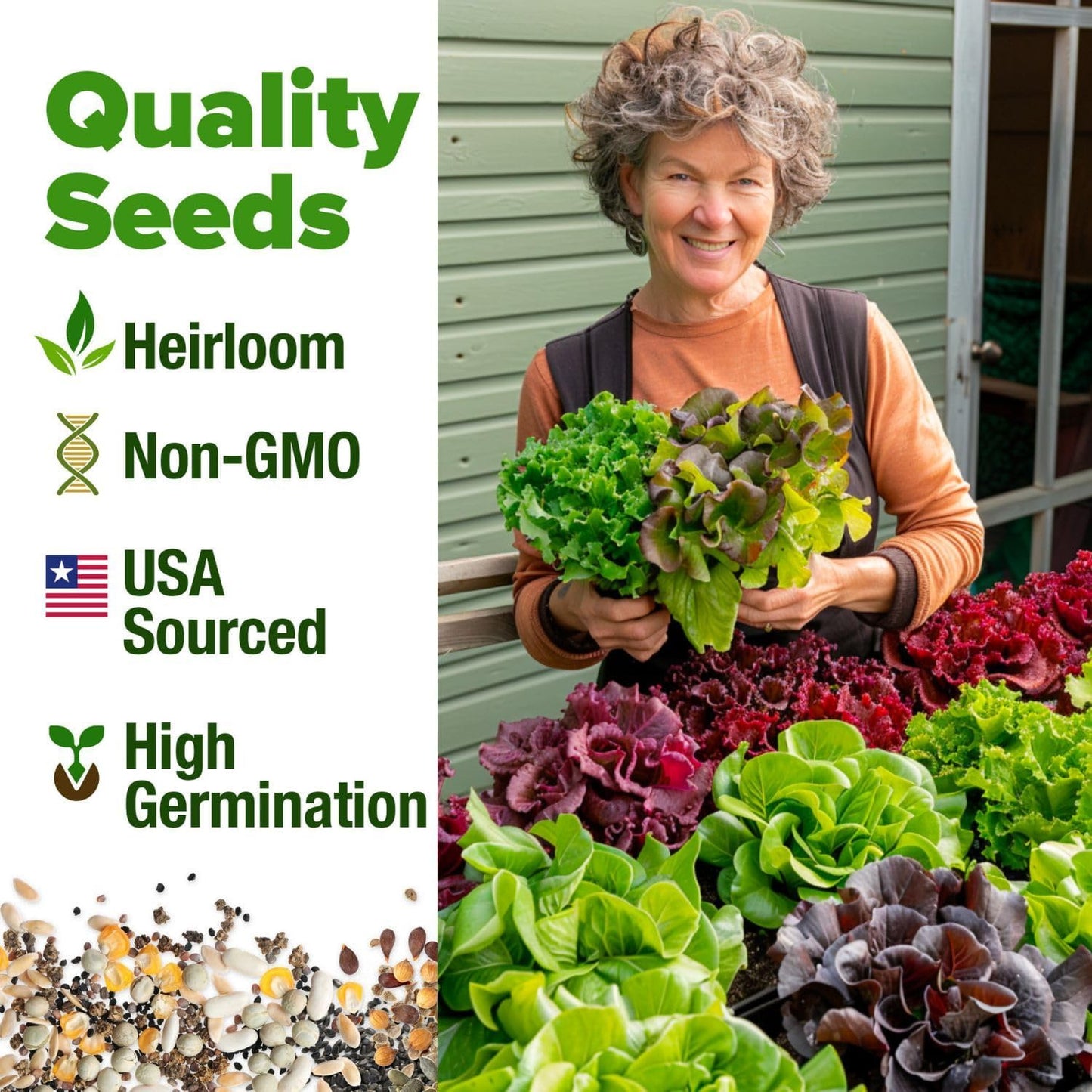 10,000+ Heirloom Lettuce Seeds for Planting Indoors - 95% Germination, Non-Gmo G