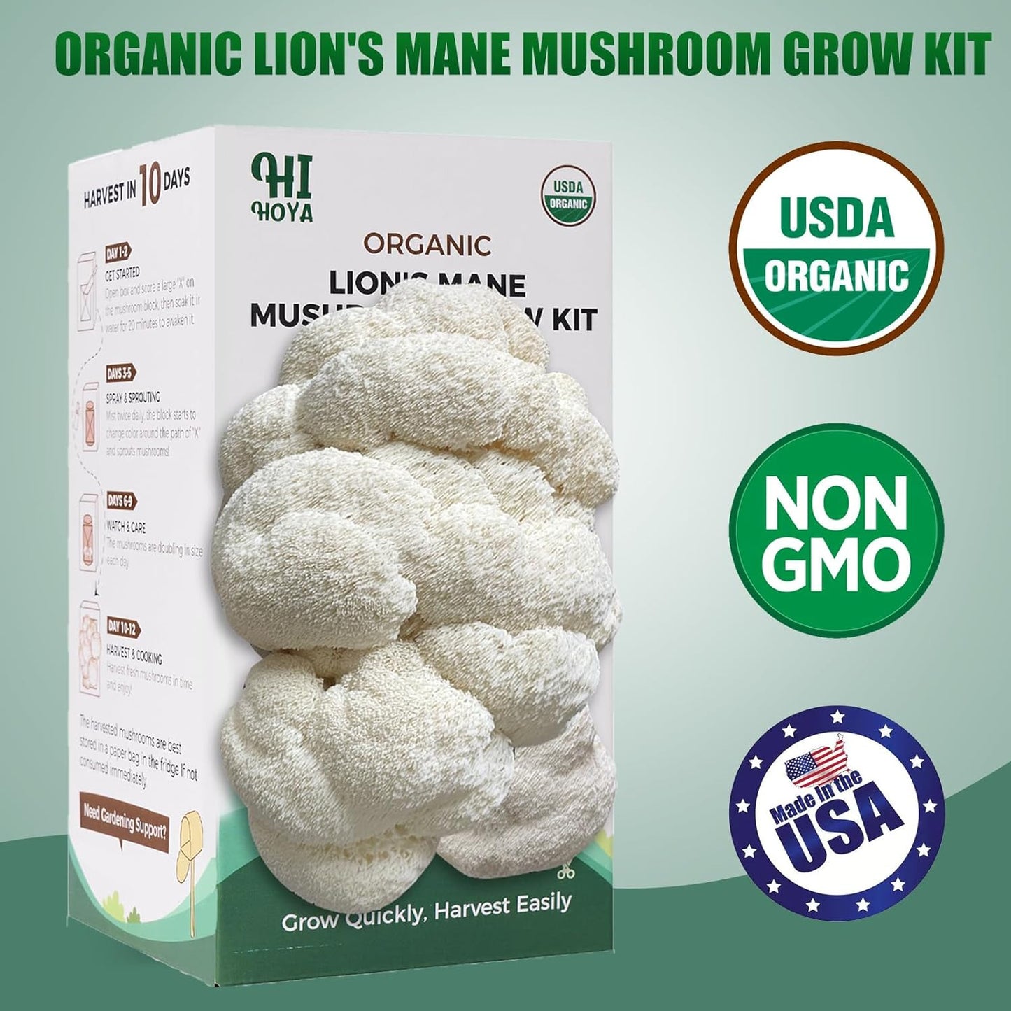 Large Mushroom Growing Kit, Organic Lions Mane Grow Kit, Fresh Gourmet Mushrooms