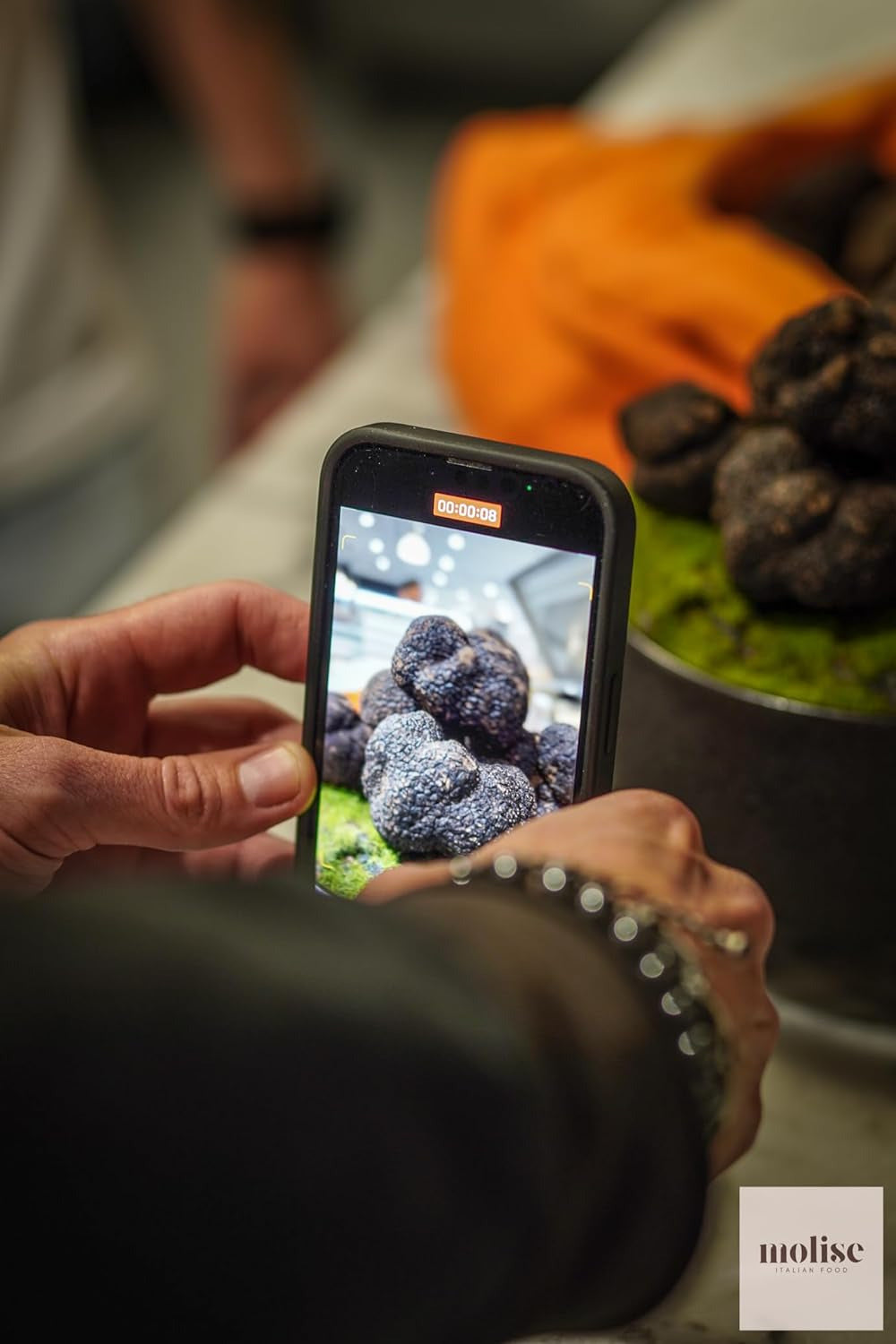 Fresh Italian Black Summer Truffles, Gourmet Solid and Aromatic Flavor Truffles,