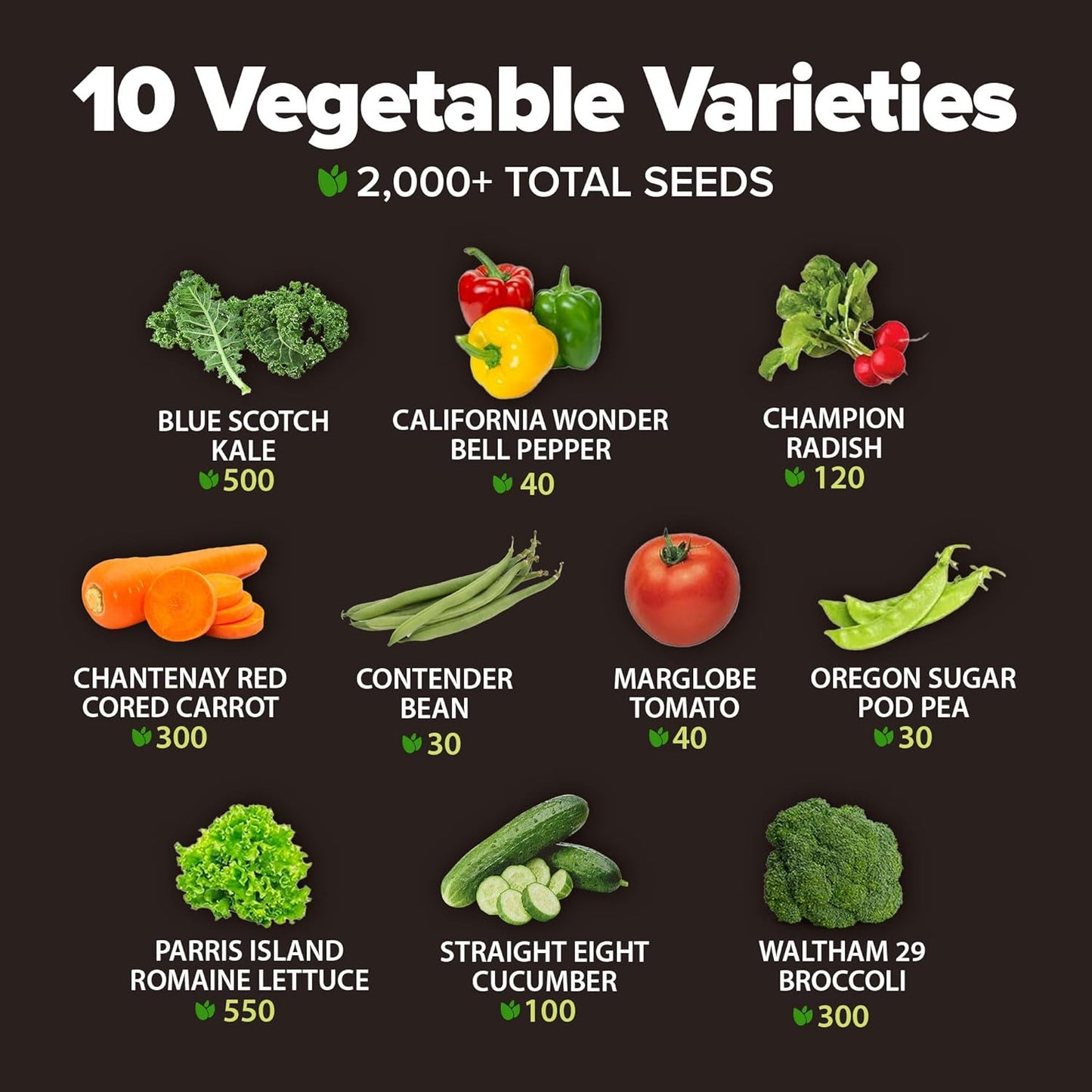 2,000+ Vegetable Seeds for Planting - 10 Heirloom Seeds for Planting Vegetables