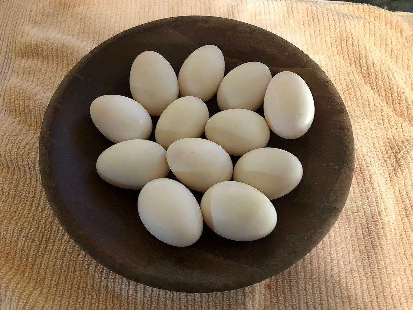 Duck Eggs, Fertile Eggs, 6 Eggs for Hatching