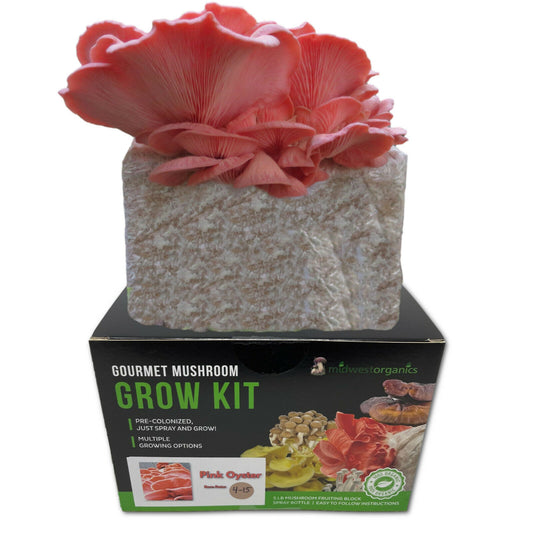 Pink Oyster Indoor Mushroom Grow Kit Ready to Grow! 5 Pound