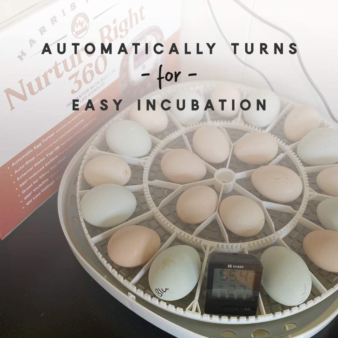 Manna Pro  Nurture Right Egg Incubator for Hatching Chicks - Holds 22 Eggs - Aut