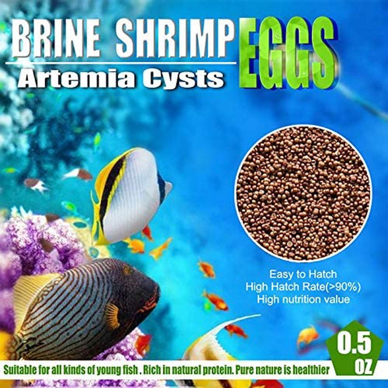 Brine Shrimp Eggs for Aquatic Foods Baby & Fry Foods the Popular 90% Hatch GSL B