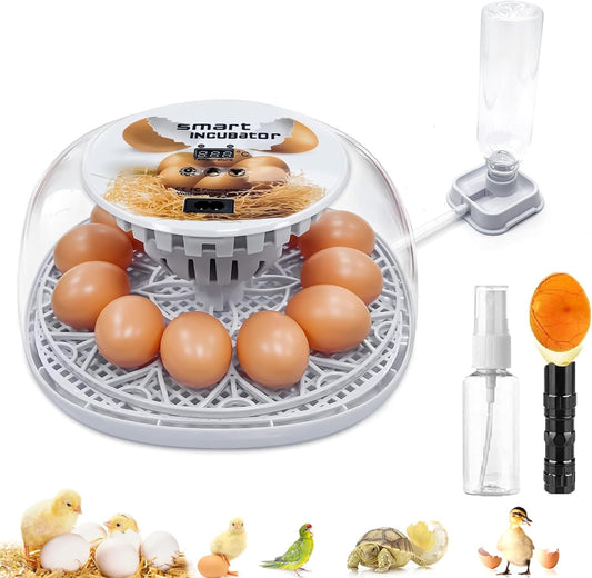 12 Egg Incubator with Humidity Indicator Automatic Egg Turning and Humidity Temp