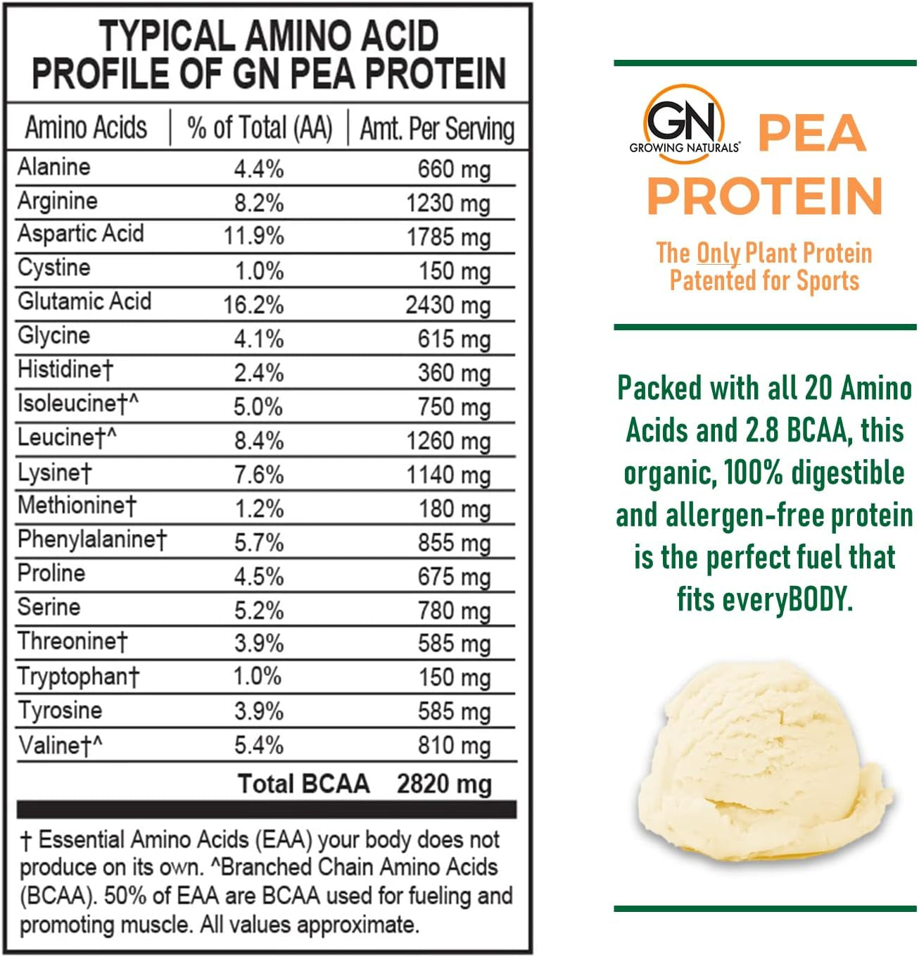 Raw Pea Protein Powder, Vegan Plant Based Protein, BCAA, Low-Carb, Low-Sugar, Va