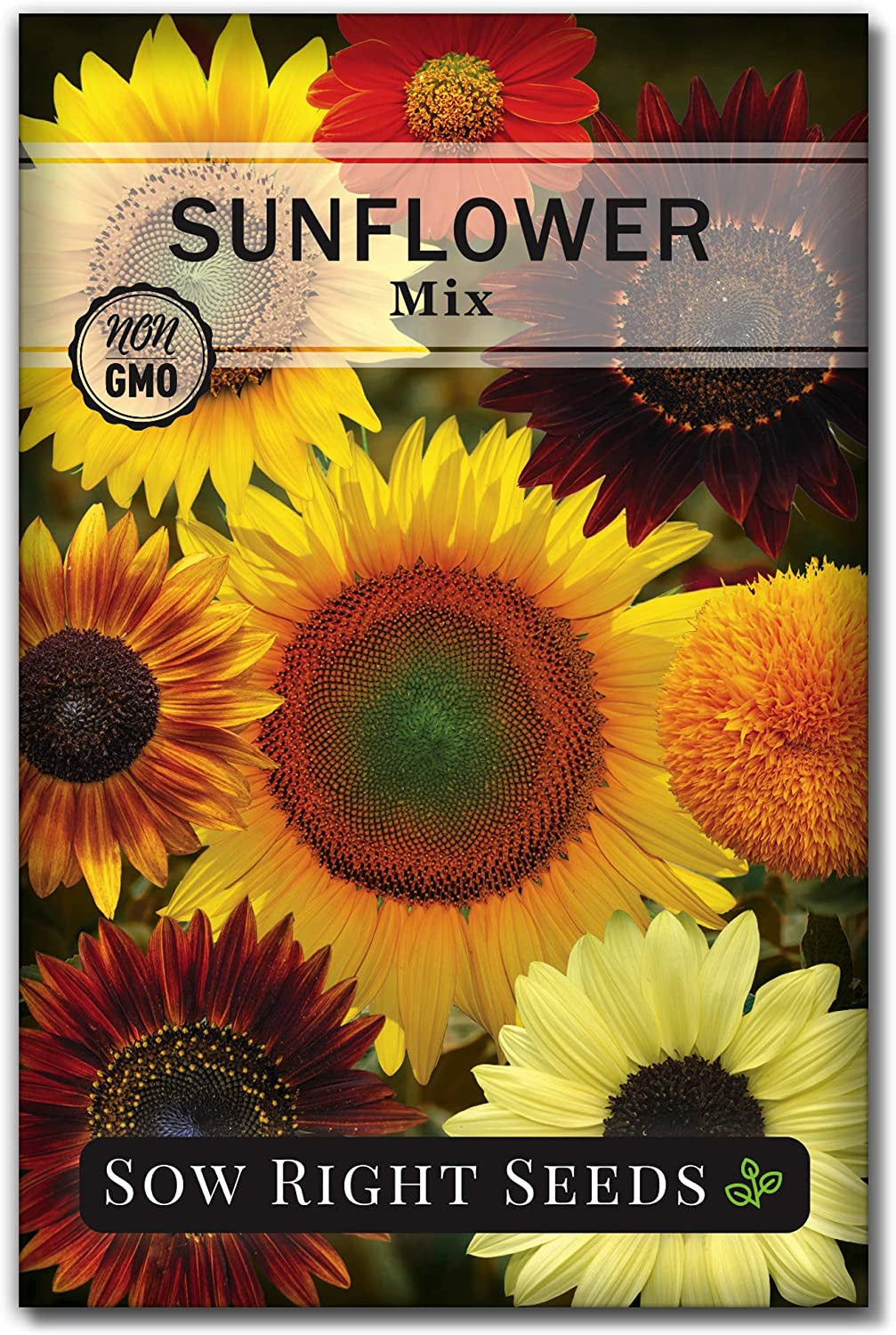 - Mixed Sunflower Seeds for Planting - Non-Gmo Heirloom Packet with Instructions