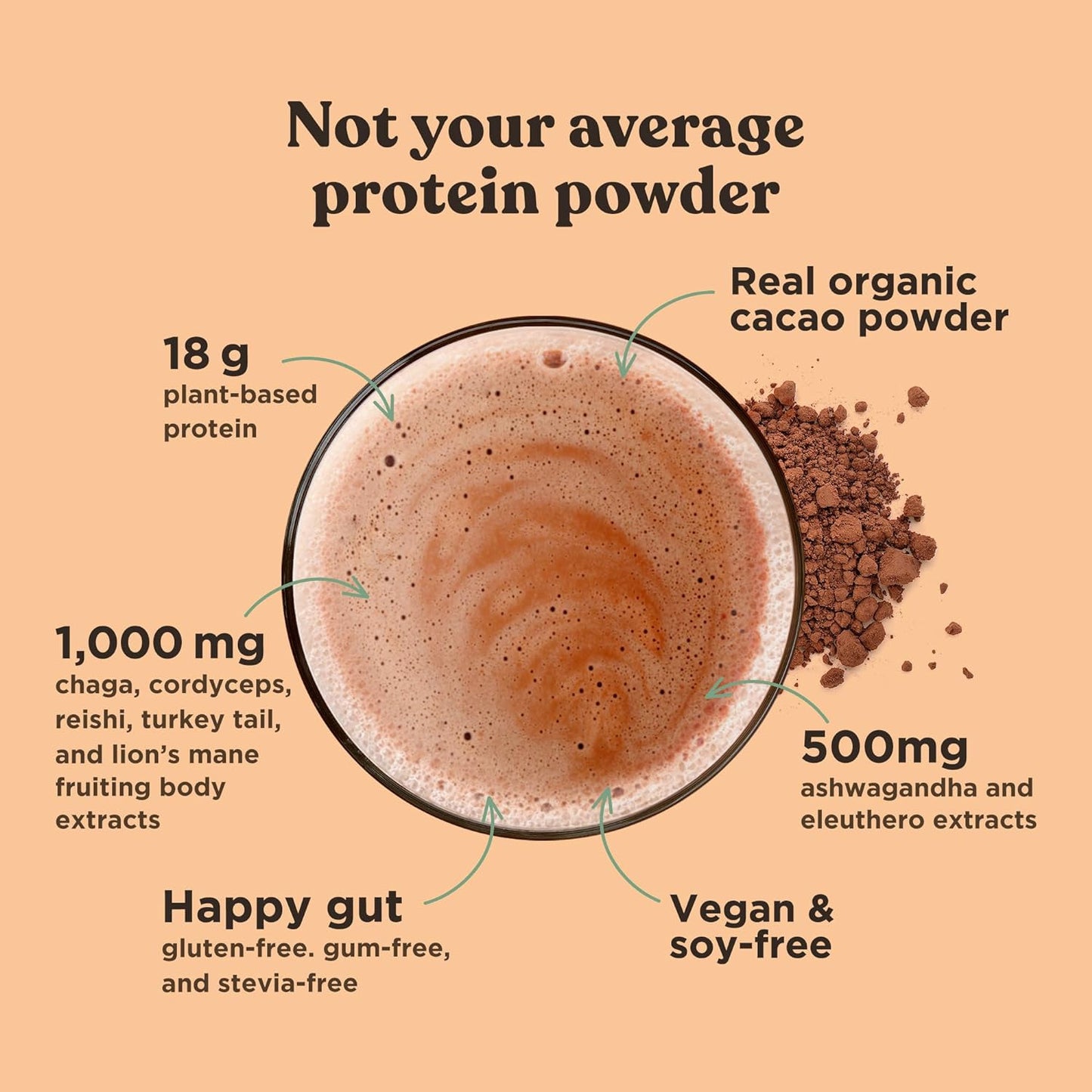 Organic Plant-Based Protein Powder Creamy Cacao Protein with Lion’S Mane, Chaga,