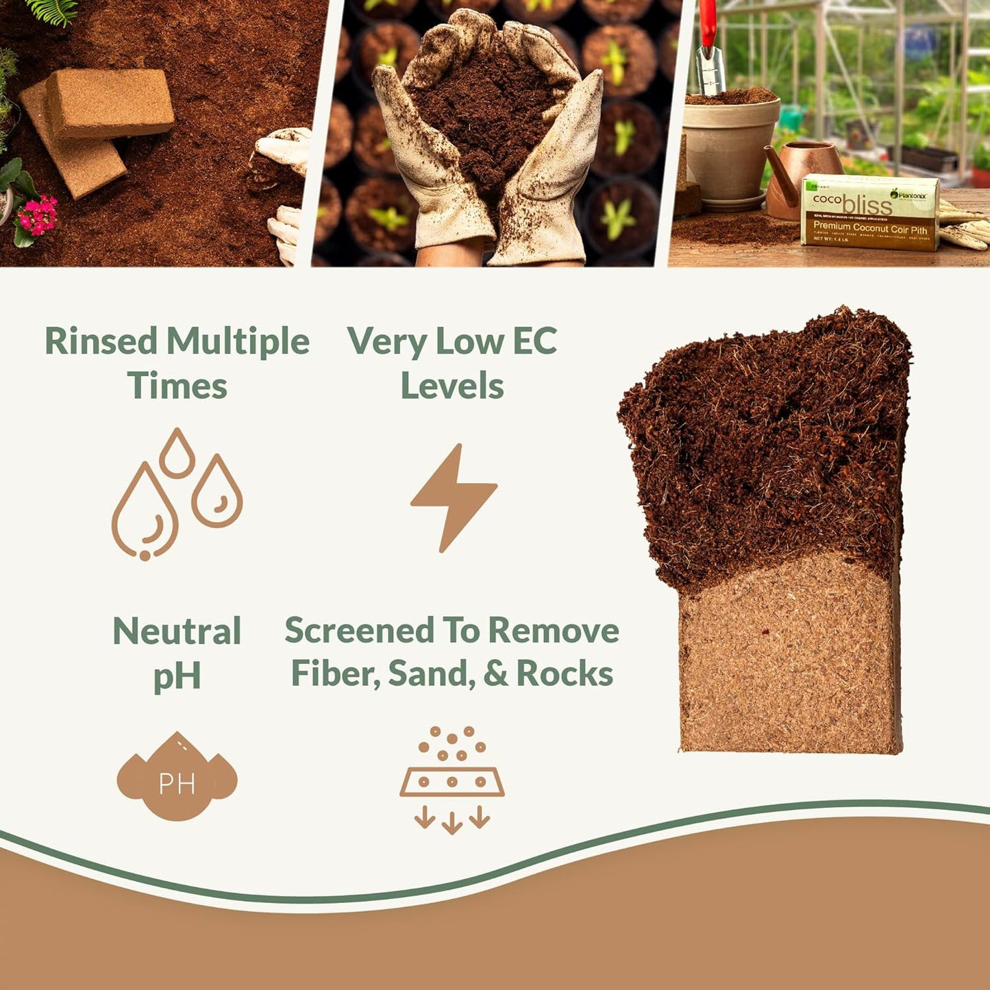 Coco Bliss Coco Coir 650Gm Bricks (5-Pack) - Organic Coco Coir for Plants, Herbs