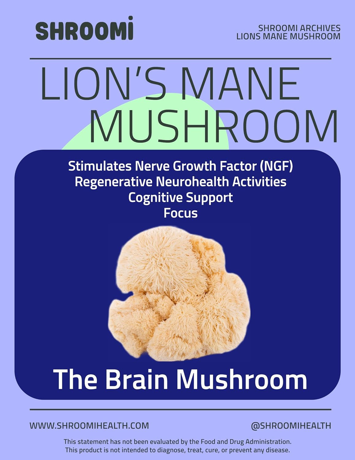 Premium Ground Mushroom Coffee | Mental Performance Gourmet Coffee | Lion’S Mane