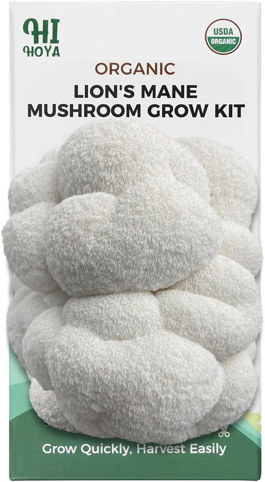 Lions Mane Grow Kit, Organic Mushroom Growing Kit Indoor, Beginner Friendly Harv