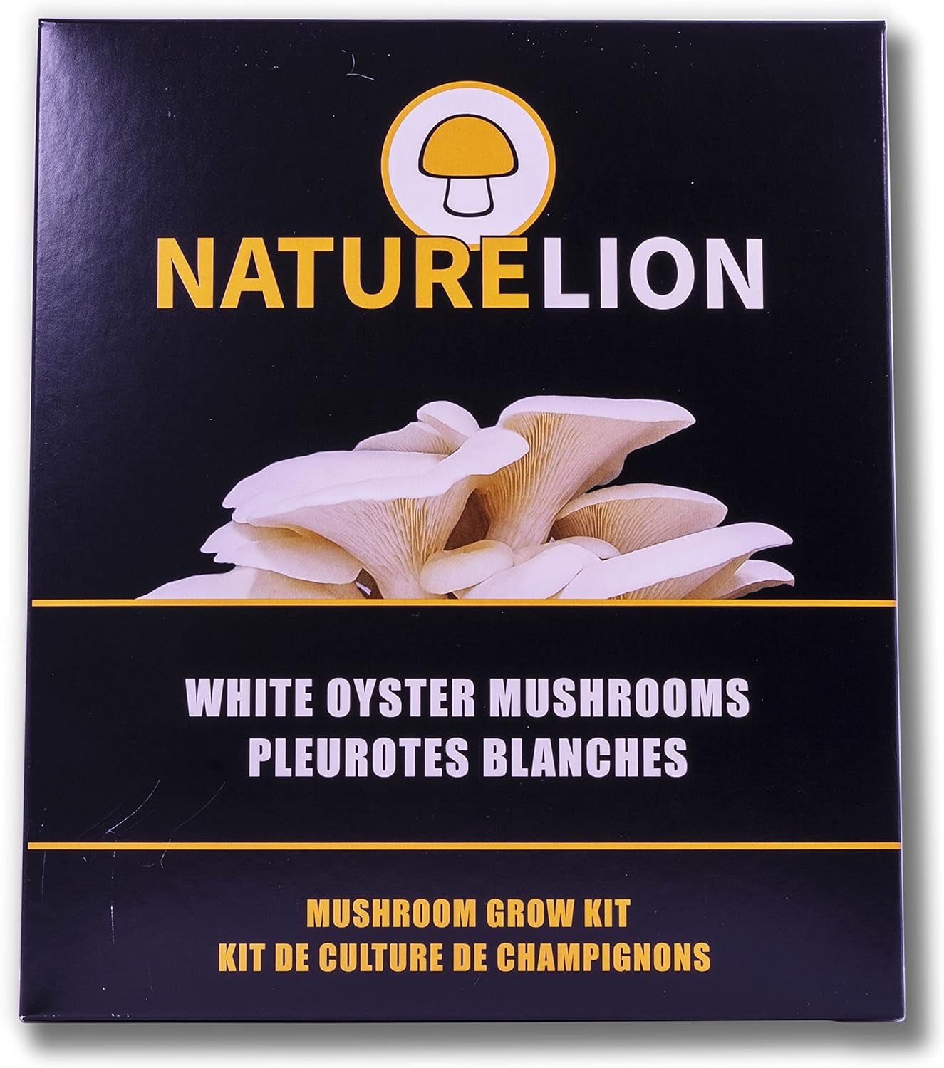 White Oyster Mushroom Grow Kit - Grow Your Own Mushrooms at Home - Indoor Vegeta