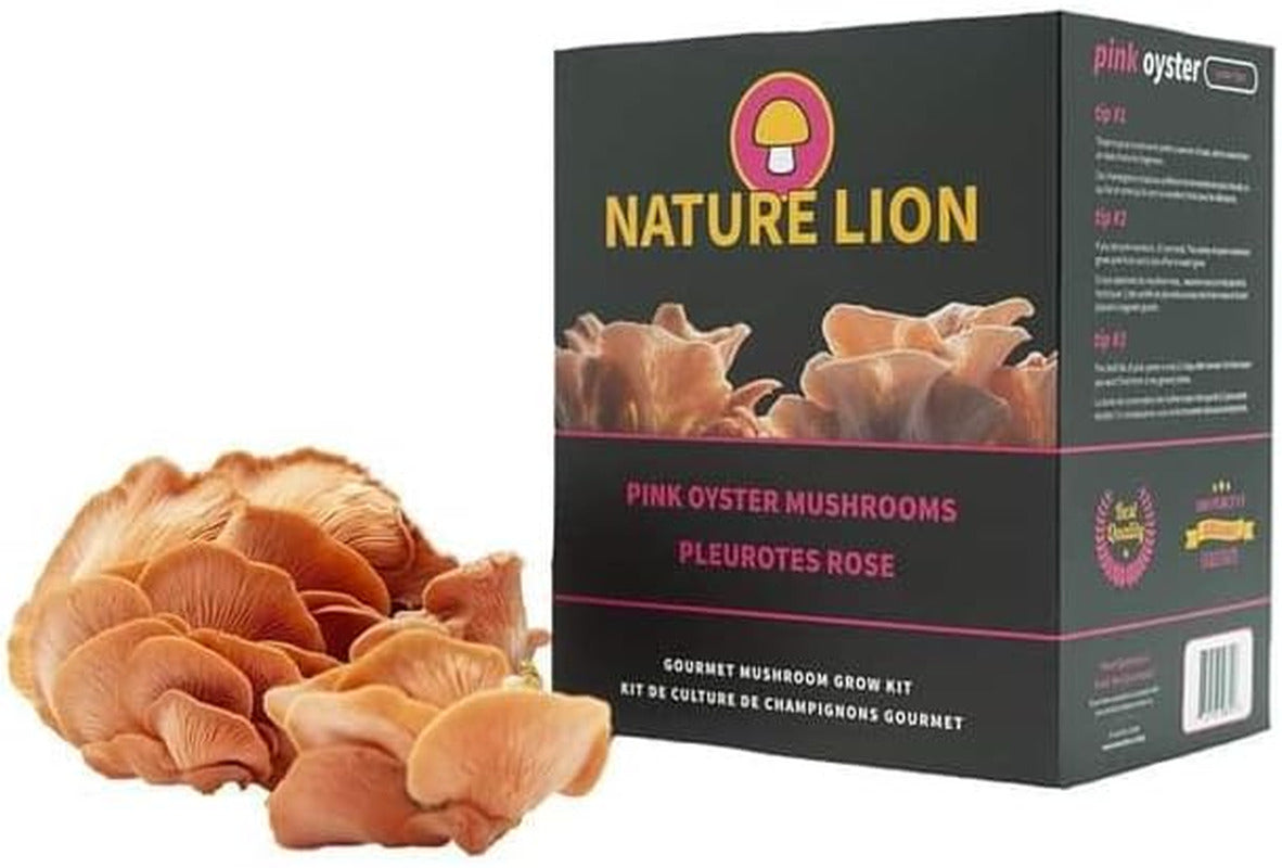 Pink Oyster Mushroom Grow Kit - Grow Your Own Mushrooms at Home - Harvest in Jus