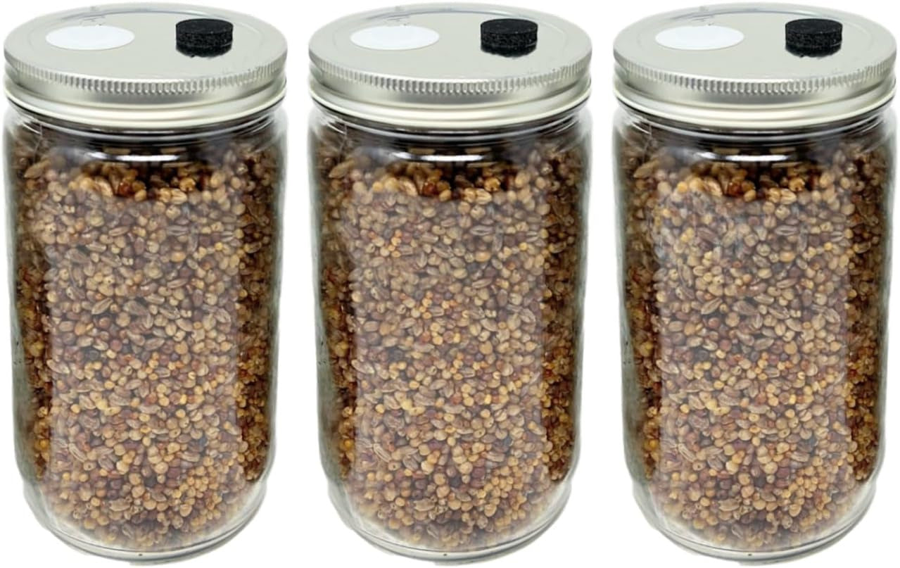 Premium Quick Colonizing 32Oz 5-Grain Mushroom Spawn Jars (3-PACK)