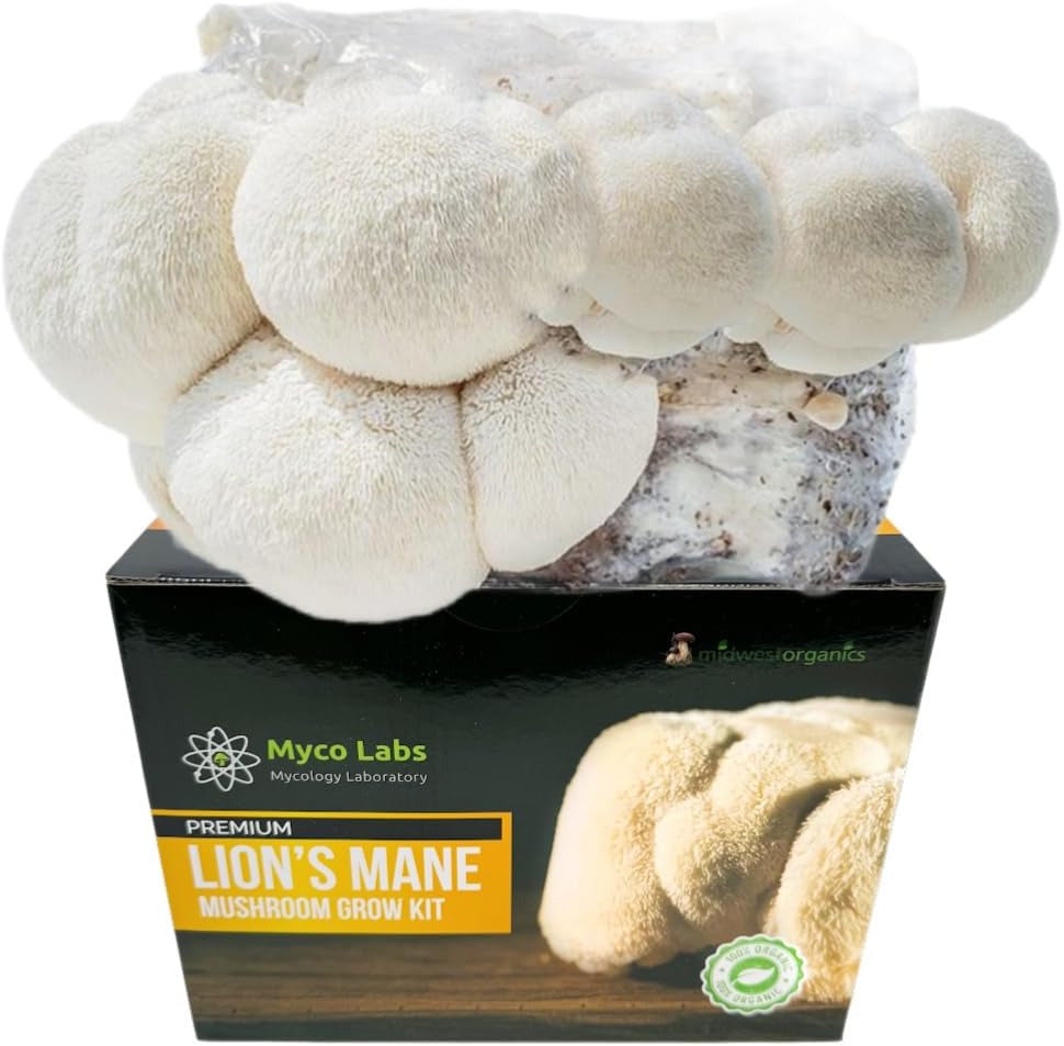 Organic Lion'S Mane Mushroom Grow Kit | Large 5.5LB Fruiting Block | Grow Your O