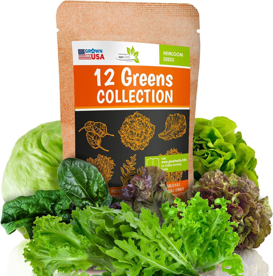 12 Lettuce and Greens Seed Pack - Heirloom and Non GMO, Grown in USA - Indoor or