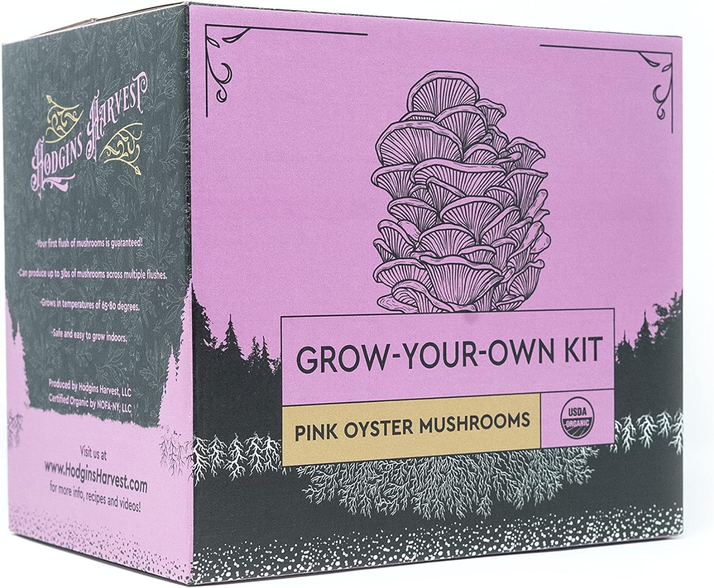 Extra-Large Pink Oyster Mushroom Grow Kit (7Lbs) | USDA Certified Organic | Grow