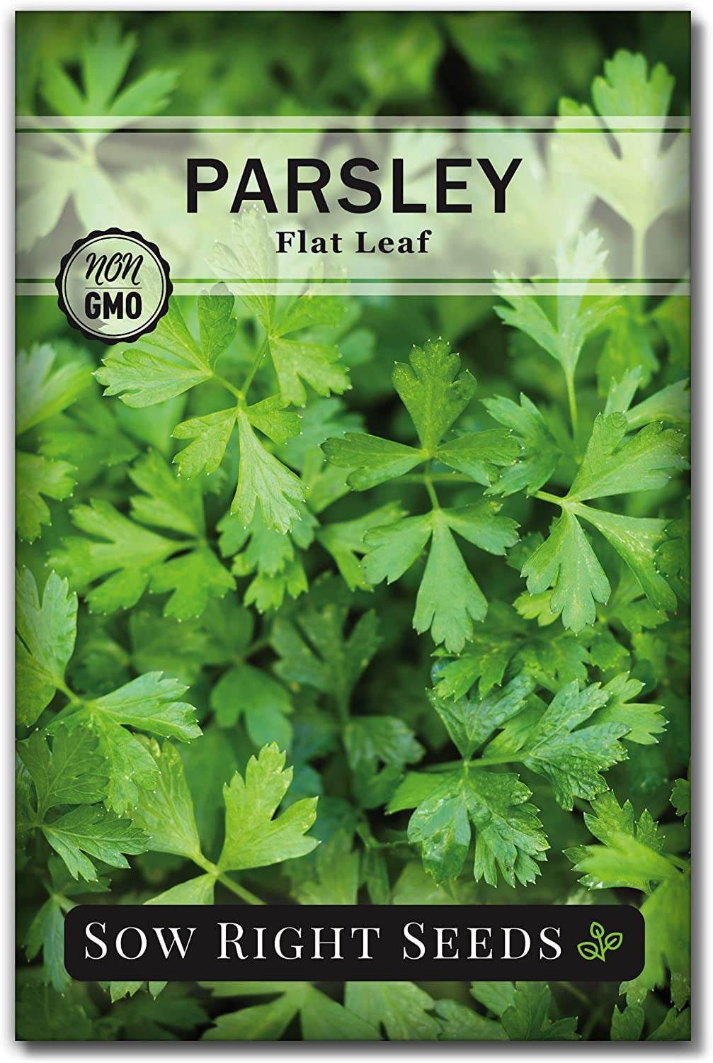 - Flat Leaf Parsley Seed for Planting - Non-Gmo Heirloom Packet with Instruction