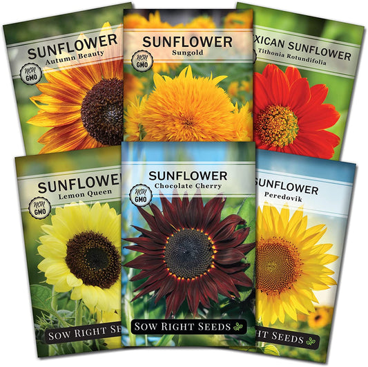 - Sunflower Seed Collection for Planting - 6 Varieties of Sunflowers - Seeds to