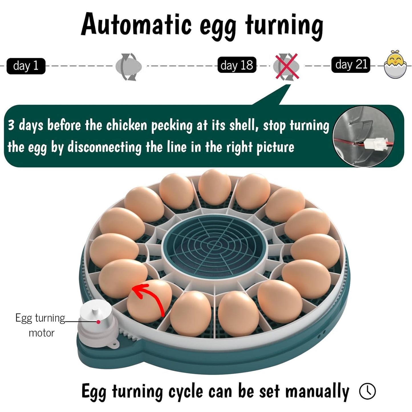 Hethay Egg Incubator, Intelligent Incubator for Chicken Eggs with Automatic Humi