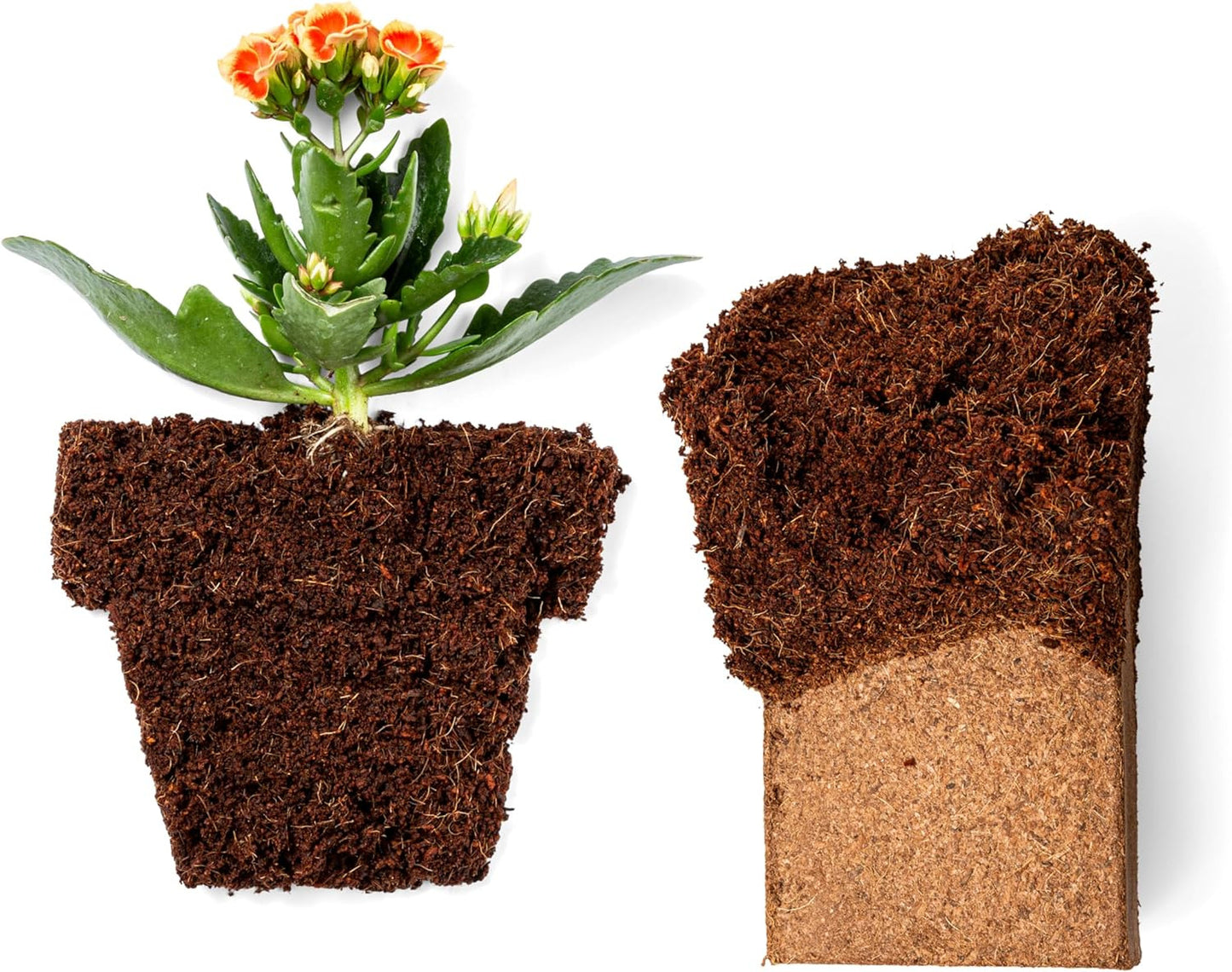 Coco Bliss Coco Coir 650Gm Bricks (5-Pack) - Organic Coco Coir for Plants, Herbs