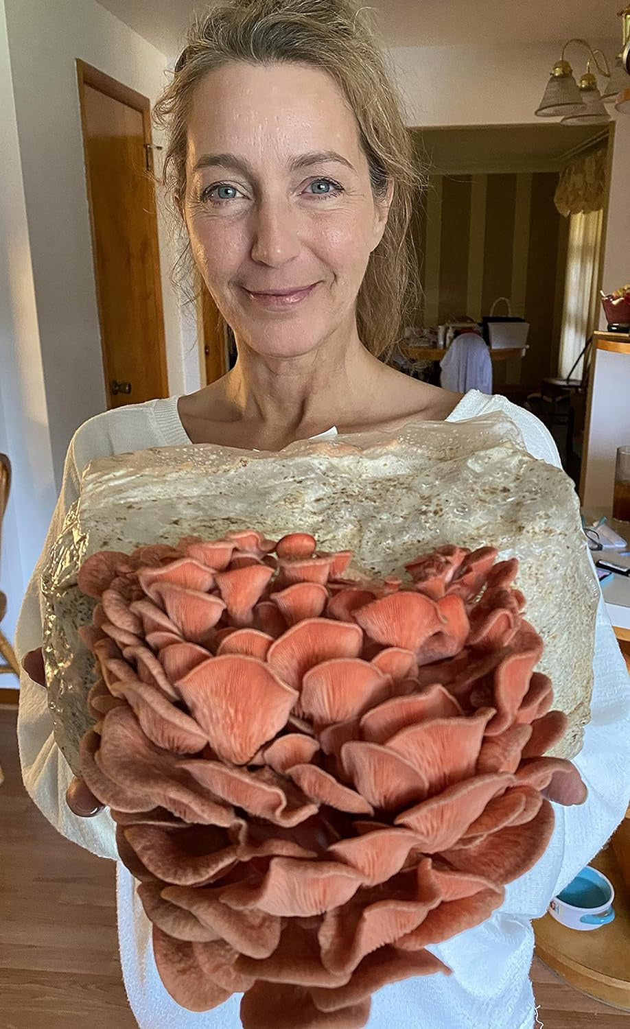 Mushroom Man LLC, Giant Pink Oyster Mushroom Kit