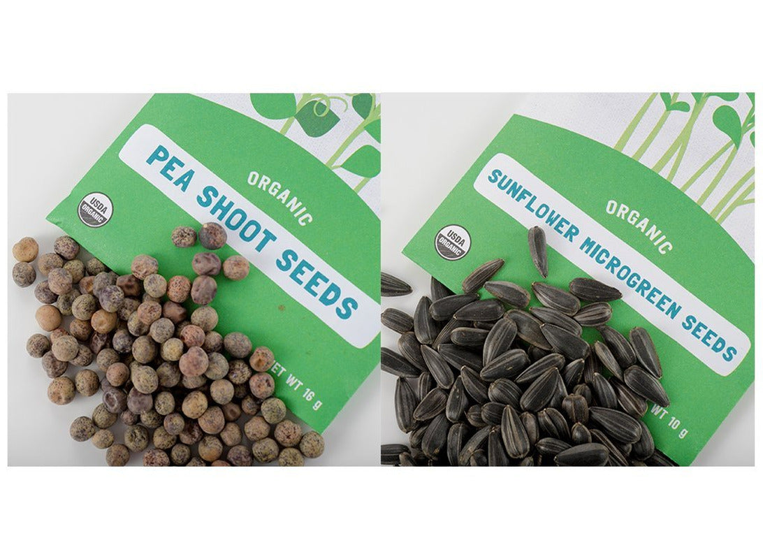 810667030377 Microgreen Bundle Sunflower & Organic Pea Shoot Seeds, Certified Or