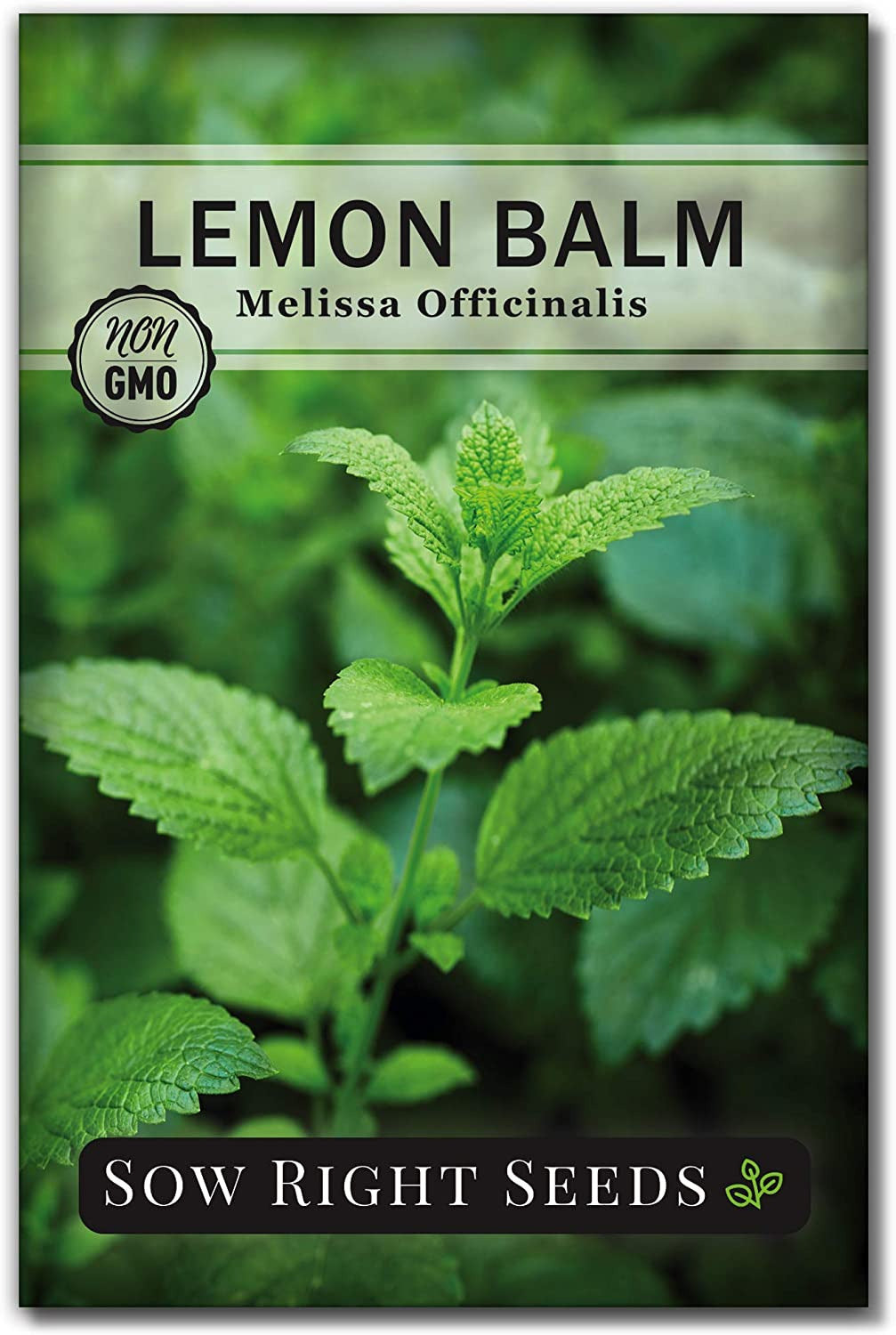 - Lemon Balm Seeds for Planting - Non-Gmo Heirloom Packet with Instructions - Ea