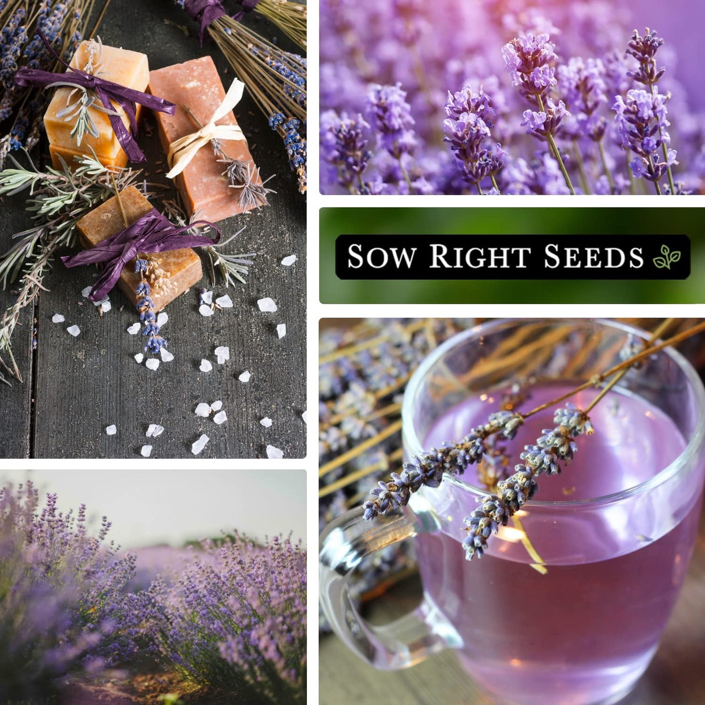 - Lavender Seeds for Planting - Non-Gmo Heirloom Packet with Instructions to Gro