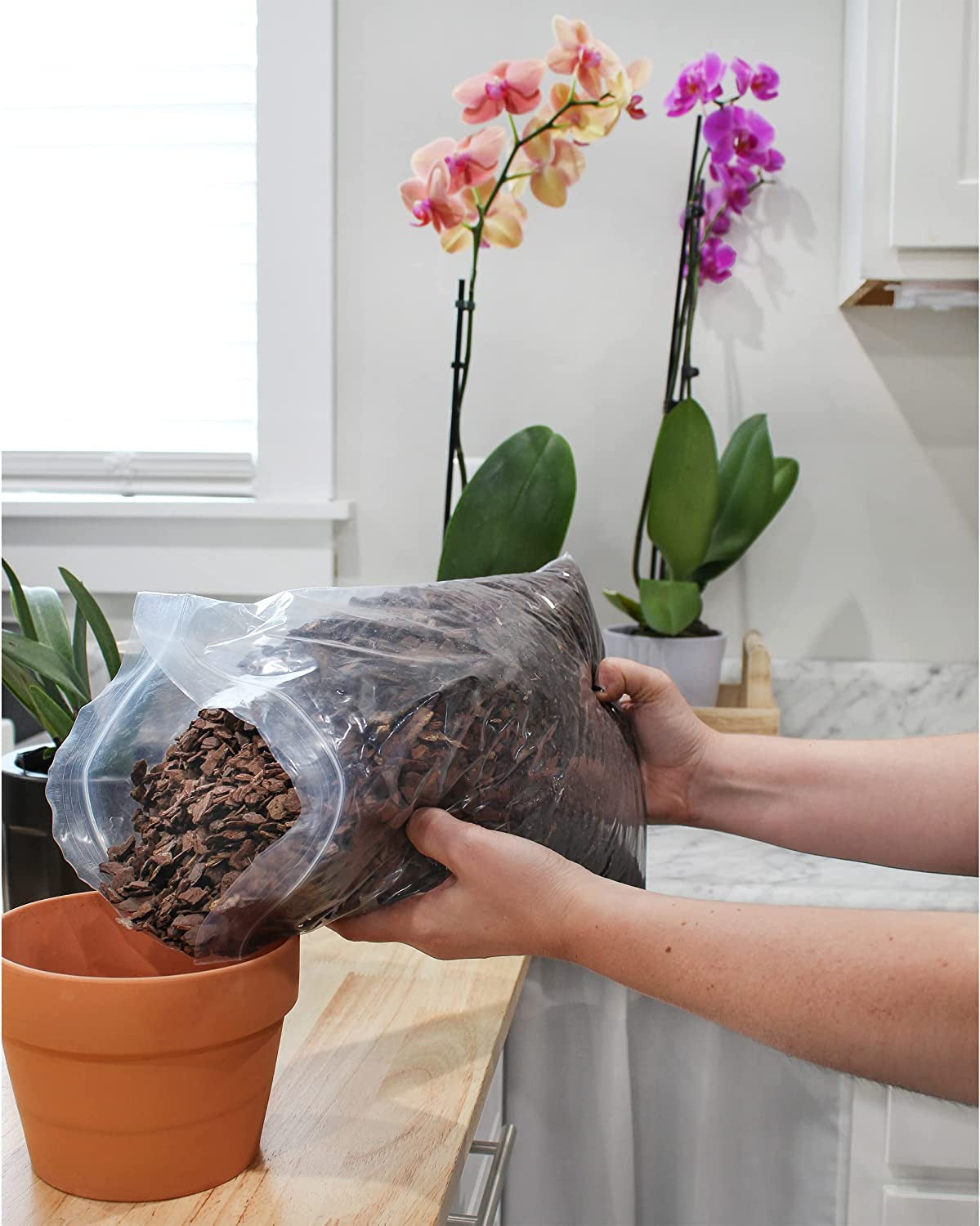 Houseplant Mulch (2 Quarts), Small Bark Wood Chips for Indoor, Patio, Potting Me