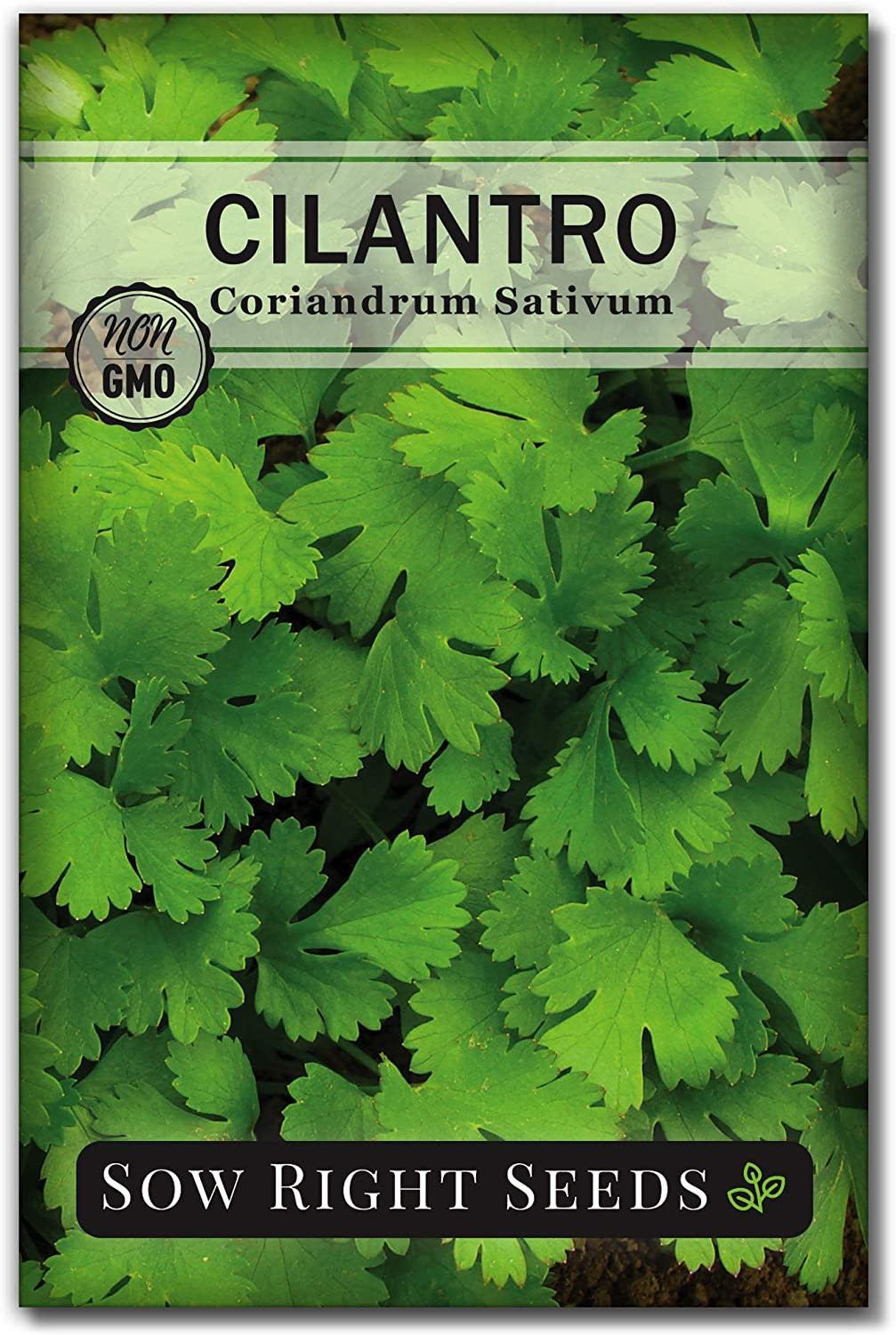 - Cilantro Seeds for Planting - Non-Gmo Heirloom Packet with Instructions to Gro