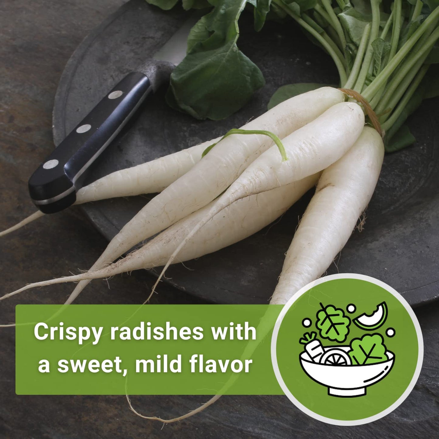 - Japanese Minowase Daikon Radish Seeds for Planting - Non-Gmo Heirloom Packet w