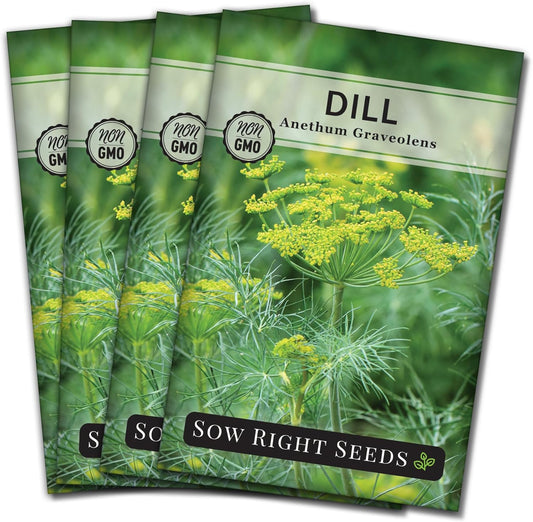 - Dill Seed for Planting - Non-Gmo Heirloom Packet with Instructions to Plant an